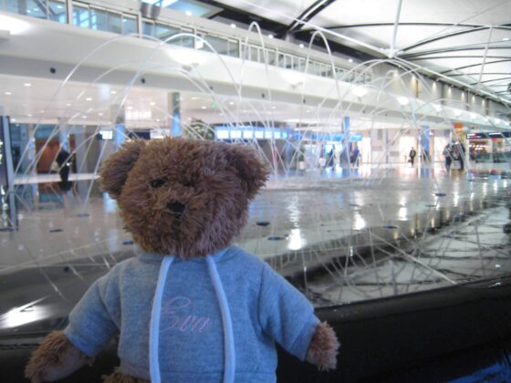 Evabear at the airport