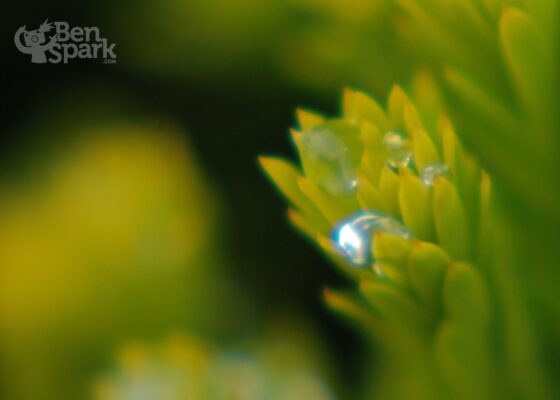 water Droplets