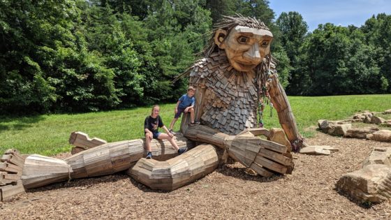 Forest Giants in Bernheim Forest