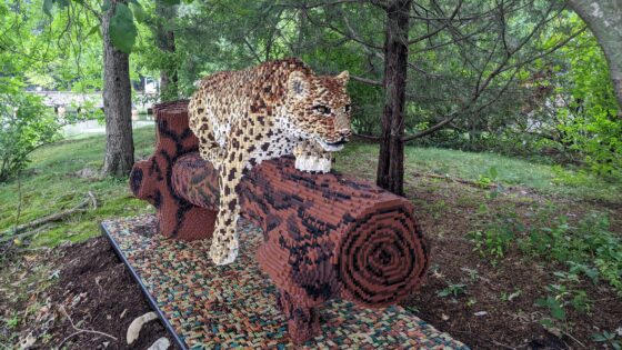 Leopard in Bricks