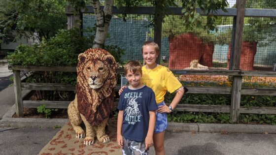 Kids and Lions