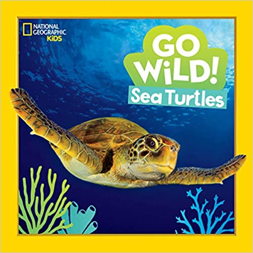Go Wild Sea Turtles